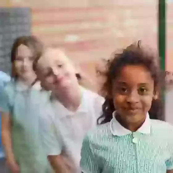 Schools